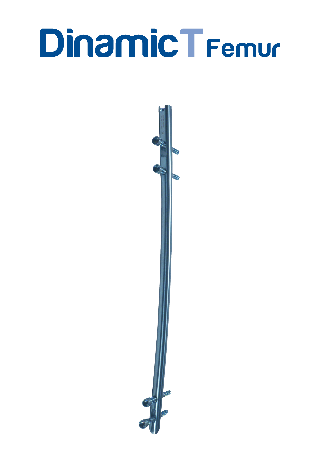 Dinamic T Femur Intramedullary Nail