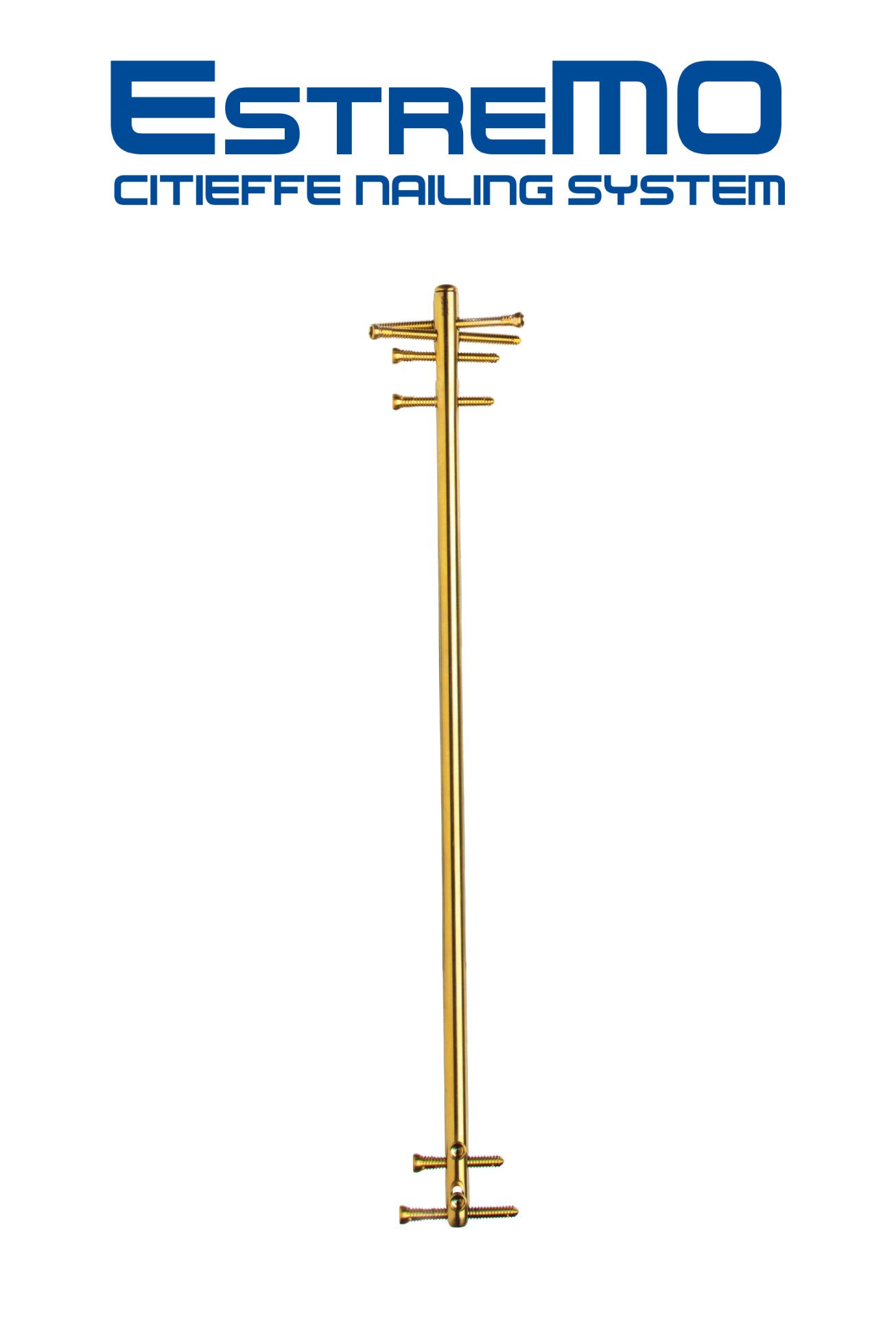 Estremo - Suprapatellar / Transpatellar Tibial & Retrograde / Antegrade Femur Nail